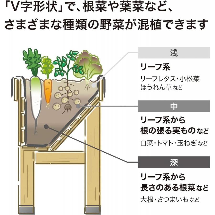 【在庫有・即納】タカショー(Takasho) プランター ホームベジトラグ ウォールハガー コンパクト ナチュラル 【VGT-WH04F】 鉢 植木鉢 木製 野菜 花_4