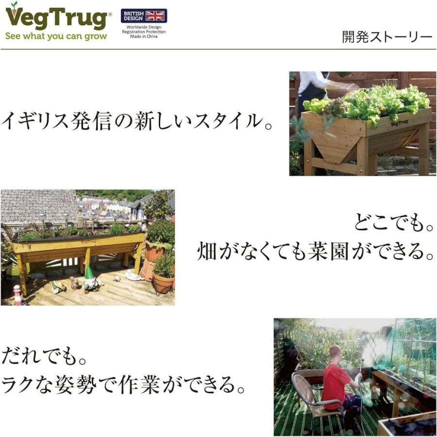 【在庫有・即納】タカショー(Takasho) プランター ホームベジトラグ ウォールハガー コンパクト ナチュラル 【VGT-WH04F】 鉢 植木鉢 木製 野菜 花_6