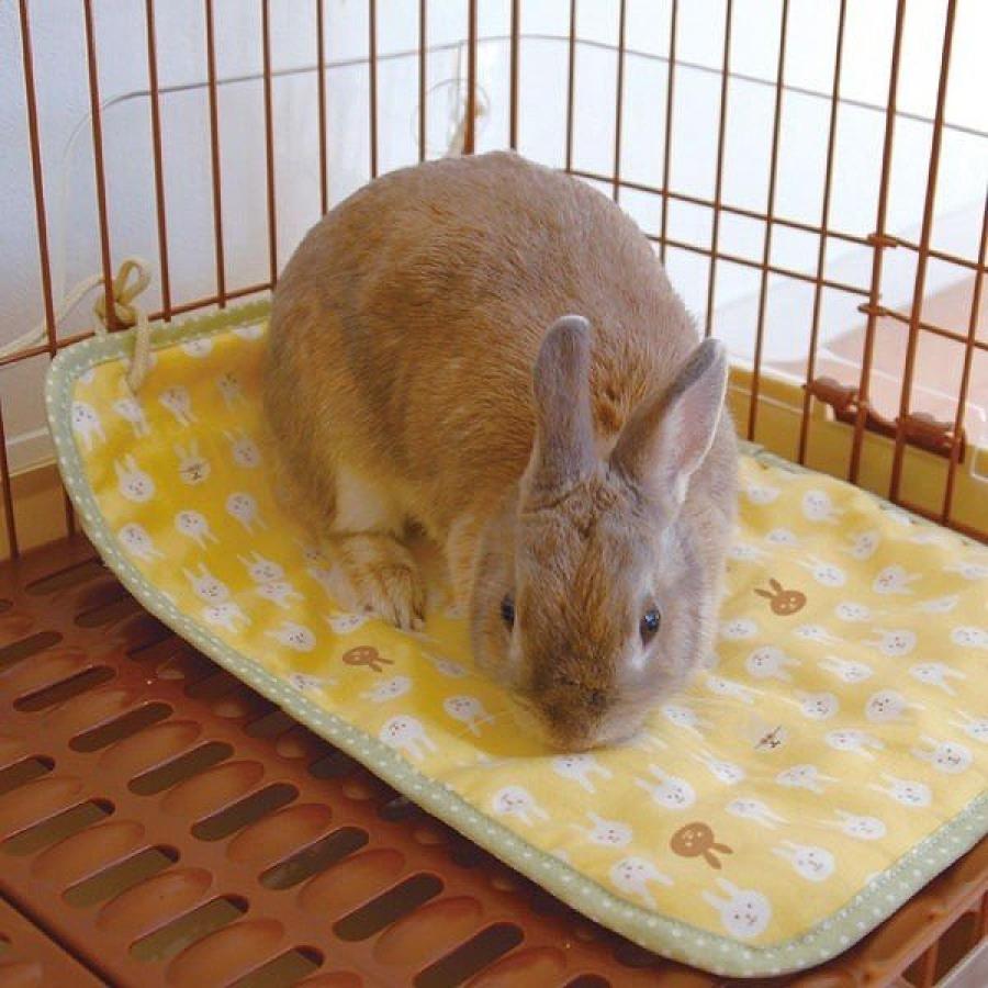 限定タイムセール ドギーマン Doggyman ウサギのマットでほりほり 小動物 穴掘り Riosmauricio Com