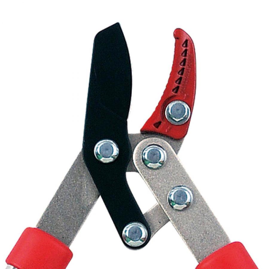 休日限定 千吉 パイプ柄ミニ太枝切鋏 Sgfl 1 剪定作業用はさみ Rmb Com Ar