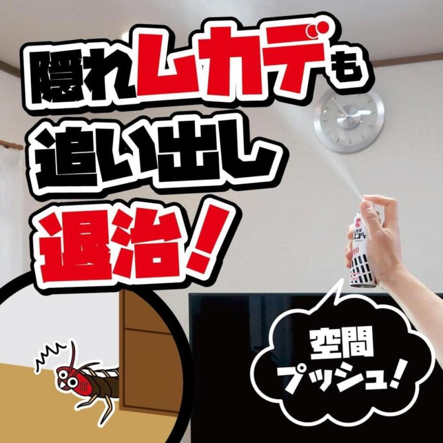 【まとめ買い】金鳥 ムカデムエンダー 60プッシュ×10個セット ムカデ用スプレー ムカデ駆除剤 虫よけ ムカデ ムカデ駆除 ムカデ退治 ムカデ対策 殺虫剤