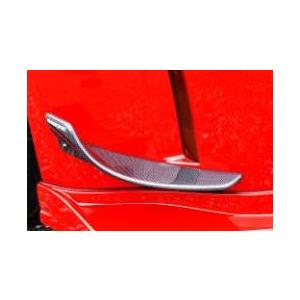 フェアレディZ カナード ハセミモータースポーツ Z33 カーボン製