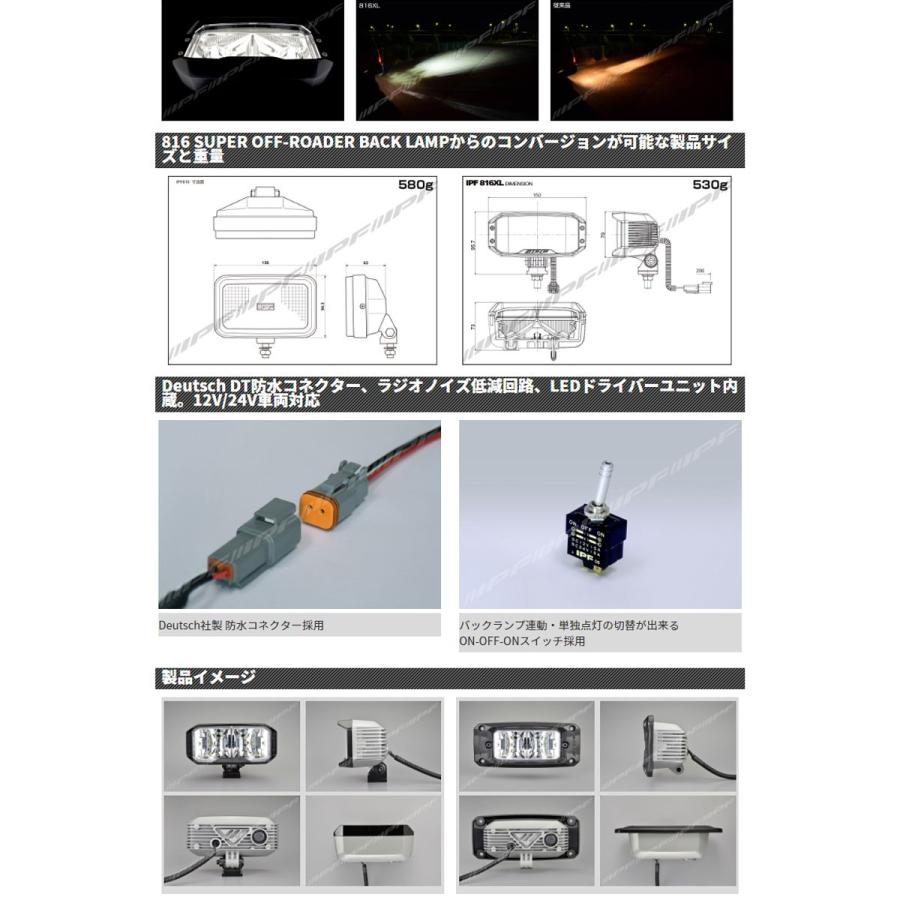 IPF LEDバックランプ 競技専用 816XLFM(海外モデル) 汎用バックランプ