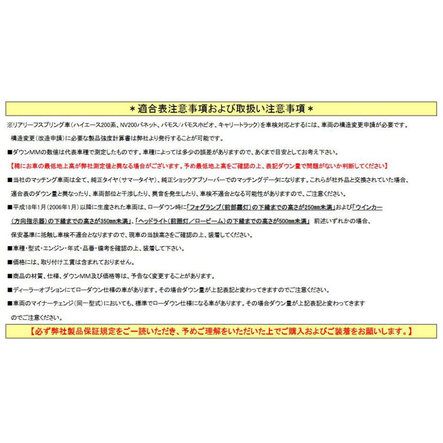 ティーダ ダウンサス C11 04/9-12/8 2WD RG/レーシングギア (SN020Aの画像