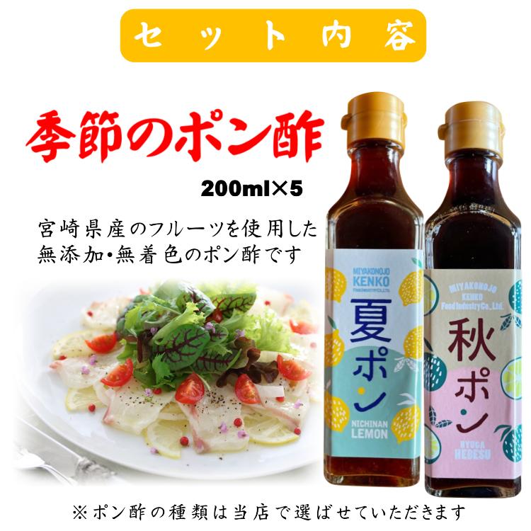 ポン酢詰め合わせ 季節のポン酢セット 宮崎県産フルーツ使用 お歳暮