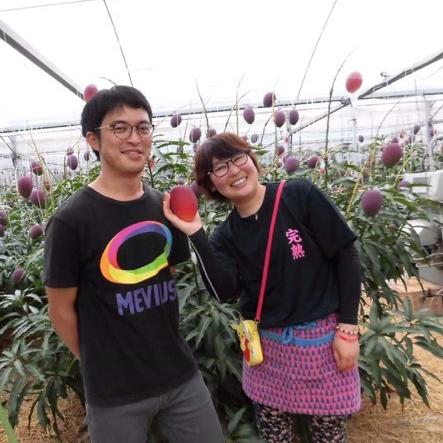 原色 病害虫百科 5 第2版 ナシ・イチジク・マンゴー 農山漁村文化協会 原色 病害虫百科 5 第2版 ナシ・イチジク・マンゴー 農山漁村