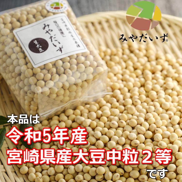 大豆 国産 在来種 みやだいず 生大豆30kg R5年産宮崎県産大豆中粒2等