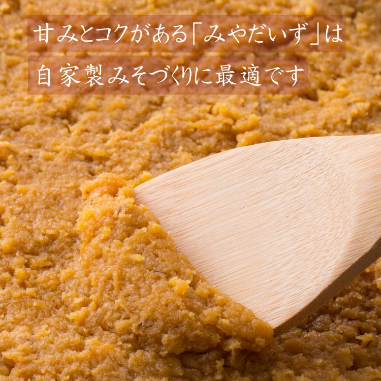 大豆 国産 みやだいず 生大豆 1〜30キロ 在来種 R6年産宮崎県産大豆