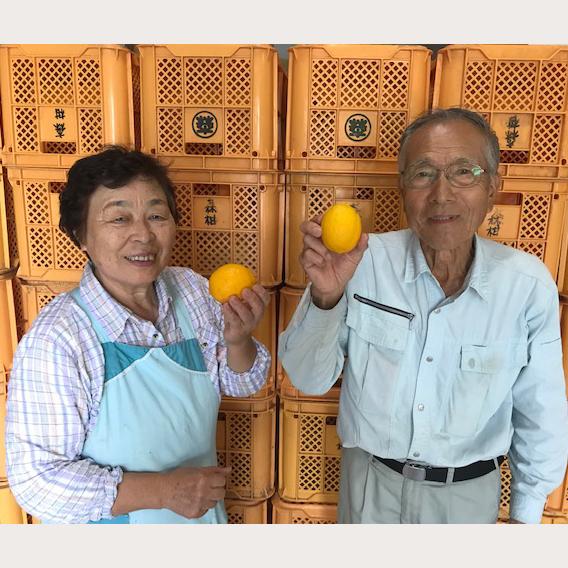 フルーツポン酢　夏ポン　レモンのポン酢　季節のポン酢　宮崎県産レモン　宮崎県日南市森山農園「日南レモン」着色料・保存料・化学調味料不使用 |  | 03