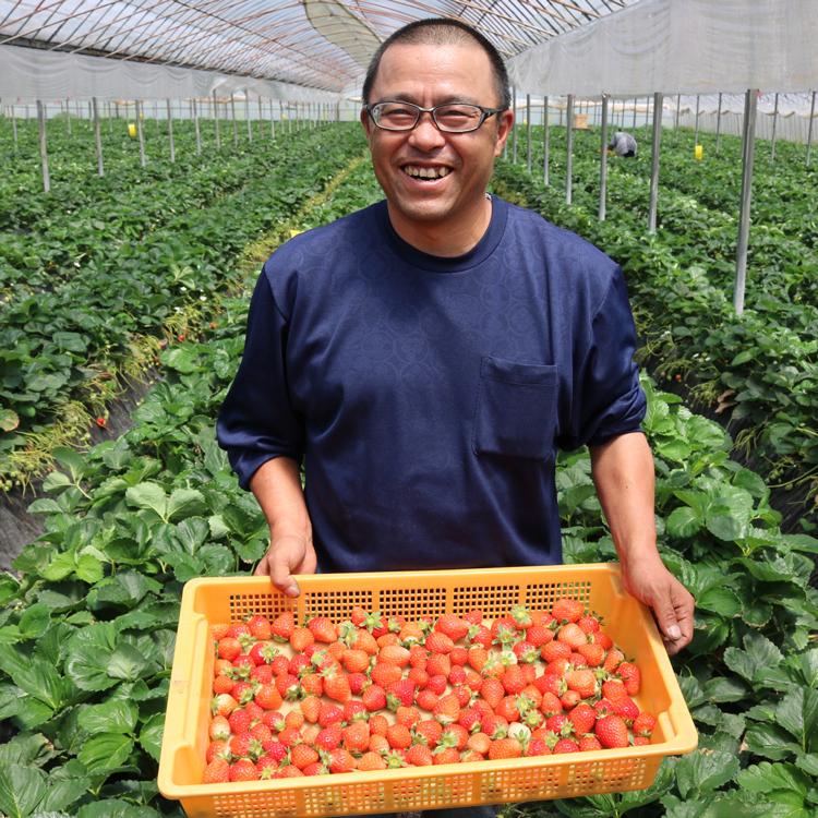 砂糖不使用 麹ジャム ２点チョイスセット（ストロベリー・ブルーベリー）送料無料 健康志向 |  | 11