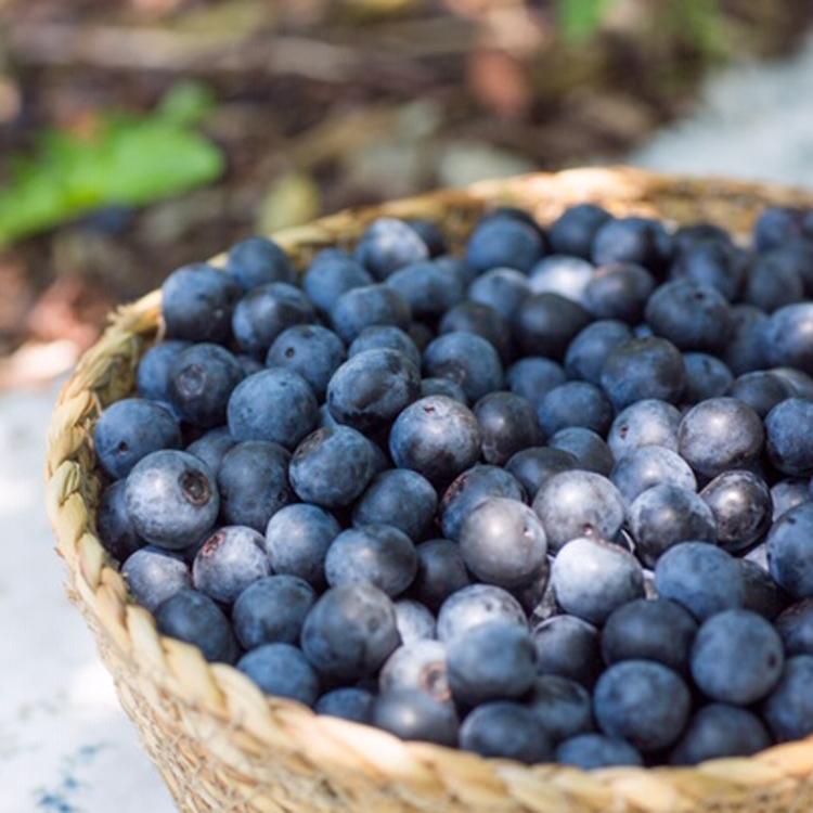 砂糖不使用 麹ジャム ２点チョイスセット（ストロベリー・ブルーベリー）送料無料 健康志向 |  | 08
