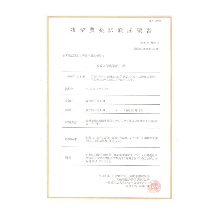 宮崎県産みやだいず使用 無添加 白味噌 麦味噌 一（はじめ） 九州産 国産大豆 伝統の味 |  | 05