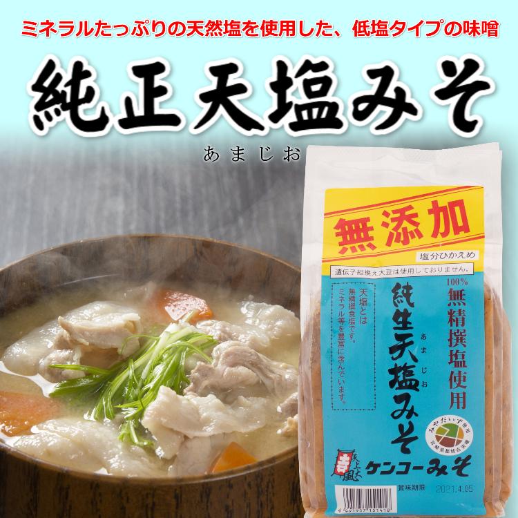 無添加 純正天塩麦味噌 宮崎県都城産みやだいず 九州産麦みそ 伝統製法 |  | 03