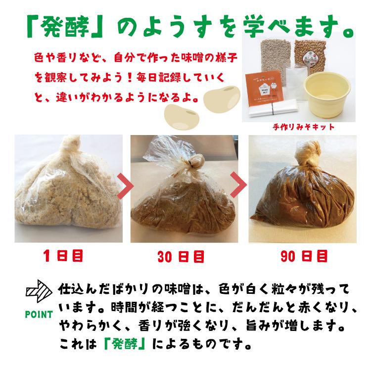みやだいず簡単手作り味噌キット タル付き 米麹・麦麹選べる 宮崎県産大豆 1.3kg |  | 10
