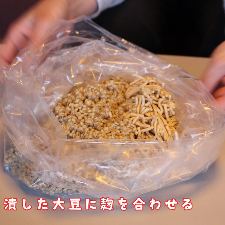 みやだいず簡単手作り味噌キット タル付き 米麹・麦麹選べる 宮崎県産大豆 1.3kg |  | 03