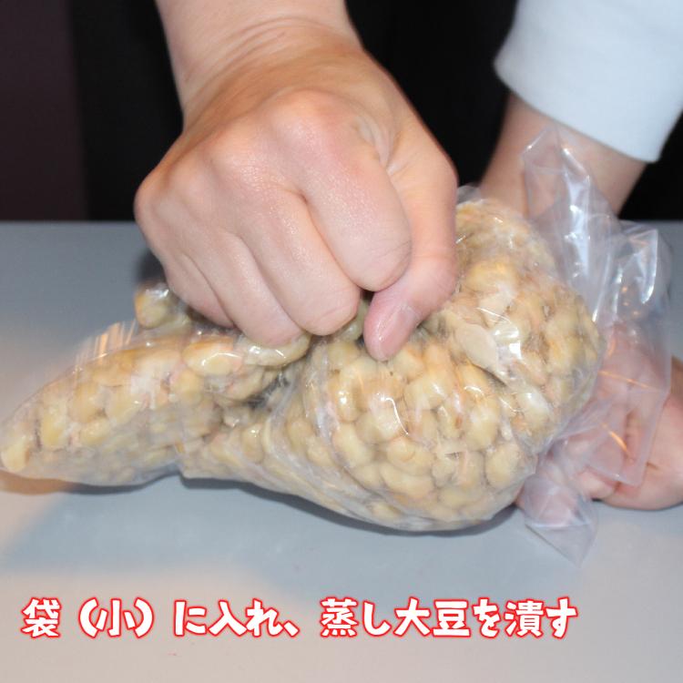 みやだいず 味噌づくりキット 米麹・タルなし 国産大豆 手作り発酵体験 |  | 02