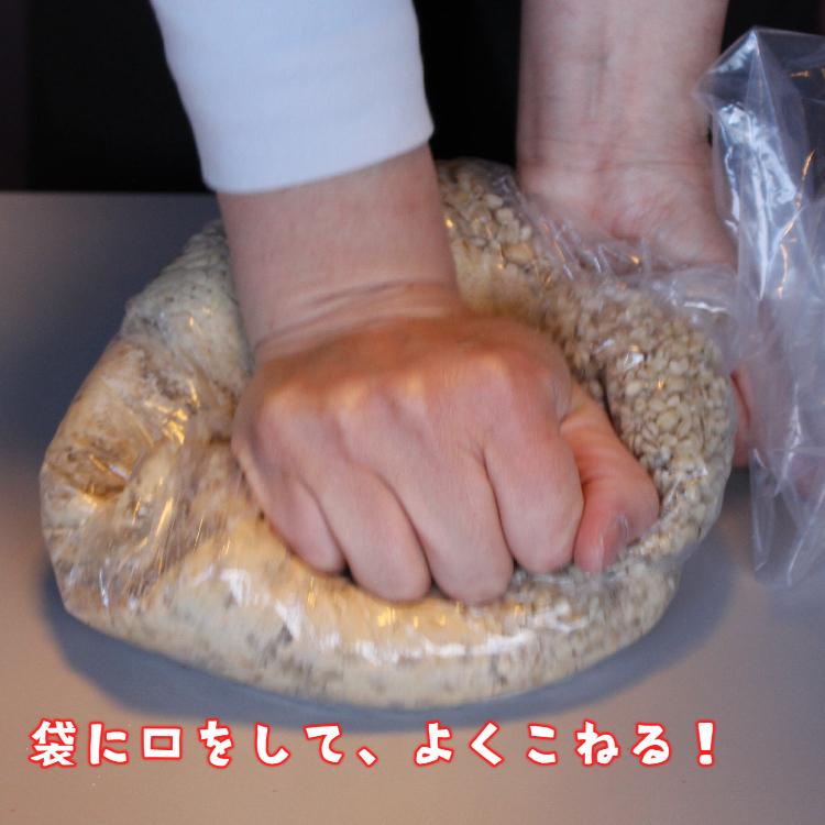 みやだいず 味噌づくりキット 米麹・タルなし 国産大豆 手作り発酵体験 |  | 04