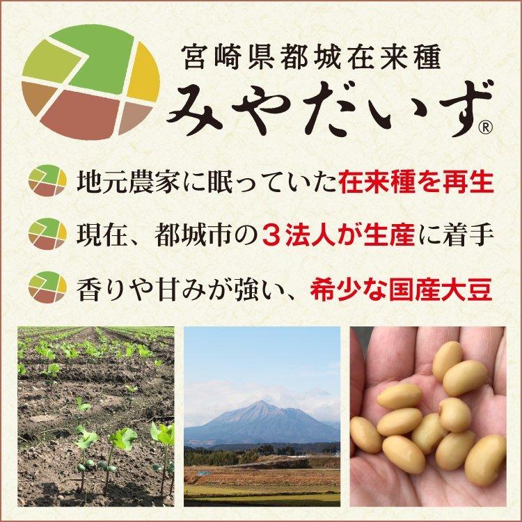 手づくり味噌キット　みやだいず手作り味噌キット（箱なしタイプ）乾燥麹　全国一律・送料込2800円　小学生学習教材　宮崎県産大豆　国産大豆　無添加味噌｜daizulaboratory｜08