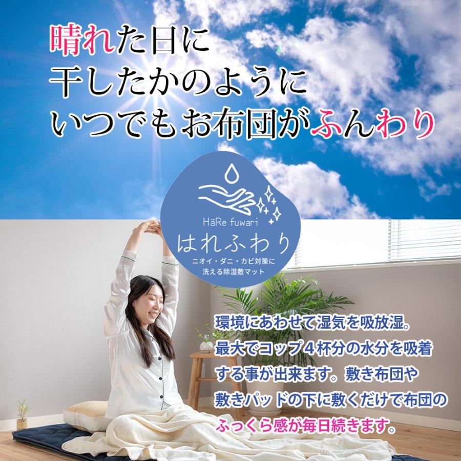 眠り製作所 除湿マットはれふわり シングル 調湿 防ダニ シート ラグ
