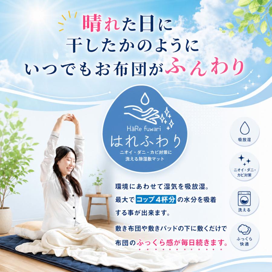 眠り製作所 除湿マットはれふわり シングル 調湿 防ダニ シート ラグ
