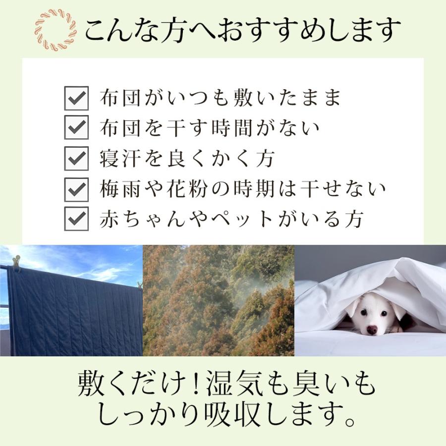 眠り製作所 除湿マットはれふわり シングル 調湿 防ダニ シート ラグ