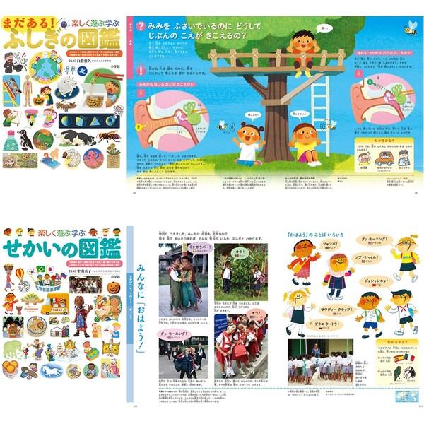 小学館 図鑑NEO プレNEO 11冊セット 不思議 世界 日本 世の中 工夫 元気 生活 国語 数 形 季節 3歳から 小学生 1年 2年 3年 4年 [01] 小学館 図鑑NEO プレNEO ふしぎの図鑑