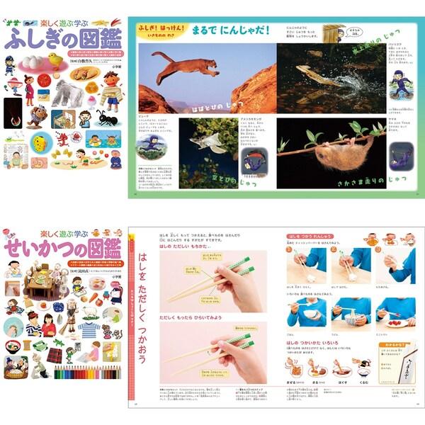 小学館 図鑑NEO プレNEO 11冊セット 不思議 世界 日本 世の中 工夫 元気 生活 国語 数 形 季節 3歳から 小学生 1年 2年 3年 4年 [01] 小学館 図鑑NEO プレNEO ふしぎの図鑑