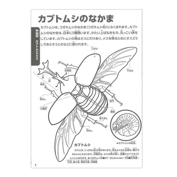 トーヨー 学べる ぬりえ 動く図鑑 Move昆虫 01 メール便対象 94m8g859 ダリアストア 通販 Yahoo ショッピング