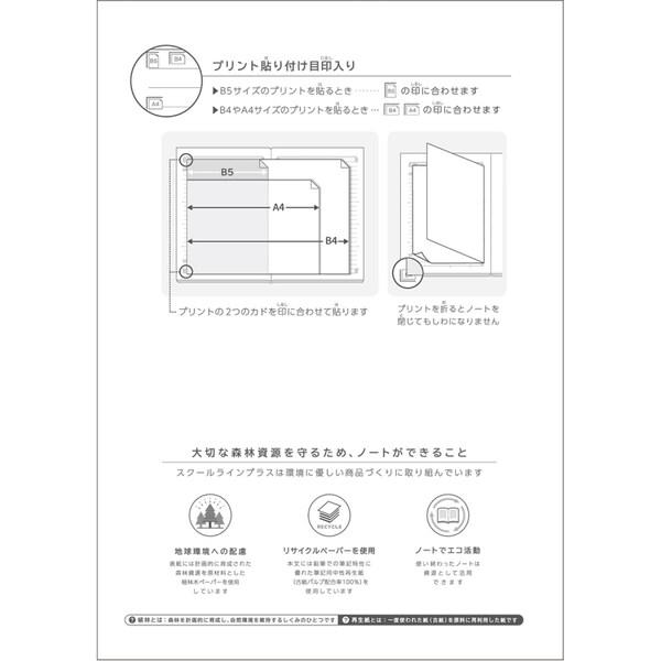 【5冊セット】 学習帳 スクールラインプラス A4 10mmヨコ罫 プリント貼付目印入 LAPP10B 小学4年/5年/6年/中学生 [02] |  | 02