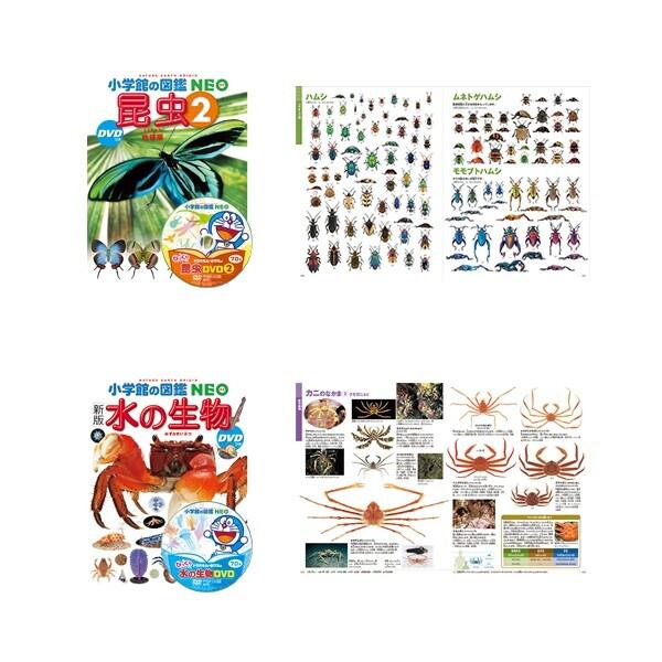 小学館の図鑑NEO ドラえもん DVD付 14冊セット 昆虫/動物/魚/鳥 小学館の図鑑NEO ドラえもん DVD付 14冊セット 昆虫/動物/魚/鳥