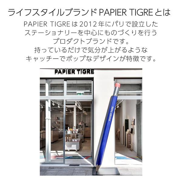 Campus キャンパス ソフトリング ノート PAPIER TIGRE パピエティグル A5 5mm方眼ドット罫 50枚 パイライト フランス コクヨ [02] 〔メール便対象〕｜daliha｜04