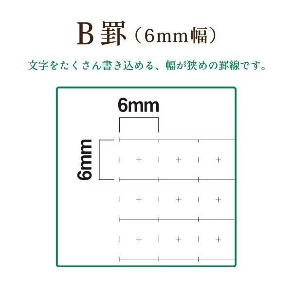 ノート Trees プラスメモリ B罫 30枚 セミB5 ライトブルー 学習 学生 社会人 勉強 書きやすい [02] 〔メール便対象〕｜daliha｜03