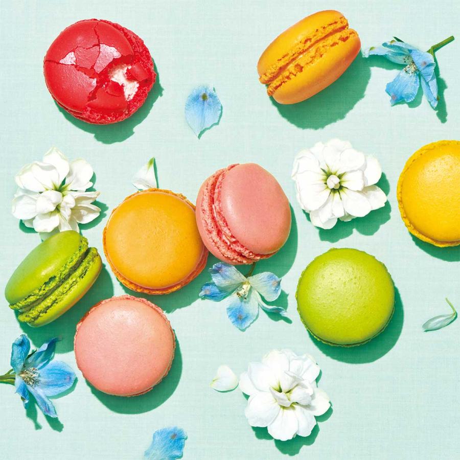 季節のマカロン入り詰め合わせ（24個入）ダロワイヨ スイーツ 洋菓子 焼き菓子 ギフト プレゼント 贈り物 土産 母の日 お中元