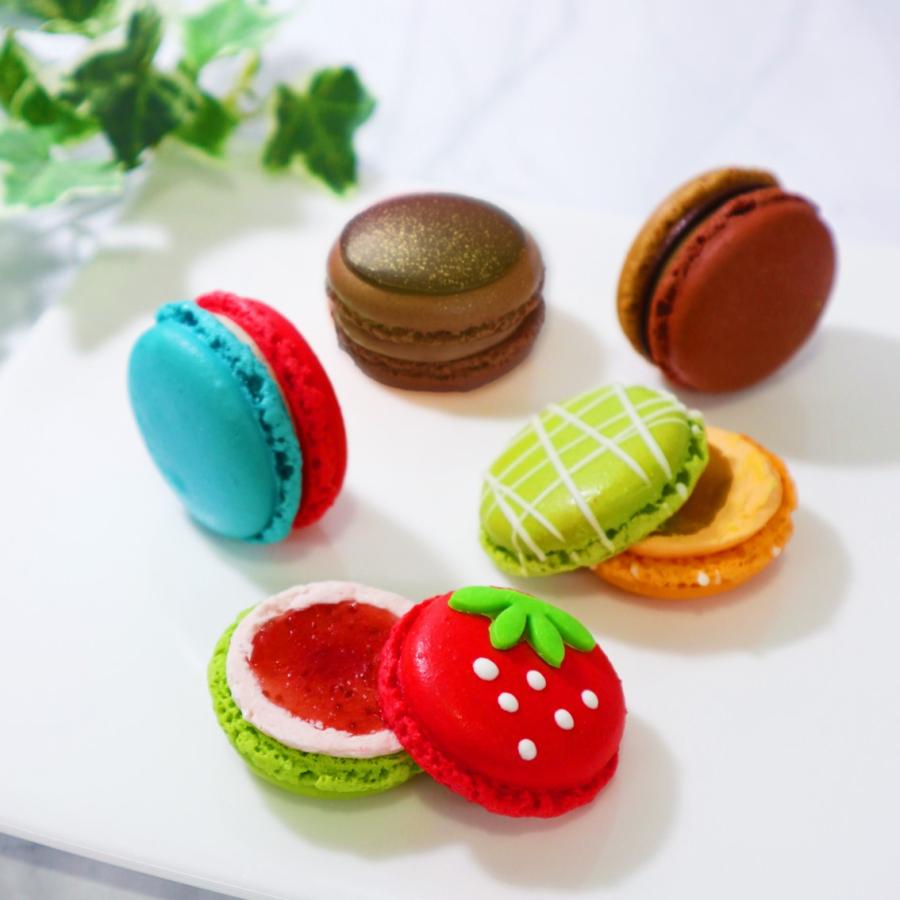 DALLOYAU（ダロワイヨ） 生マカロン詰め合わせ（5個入） 洋菓子