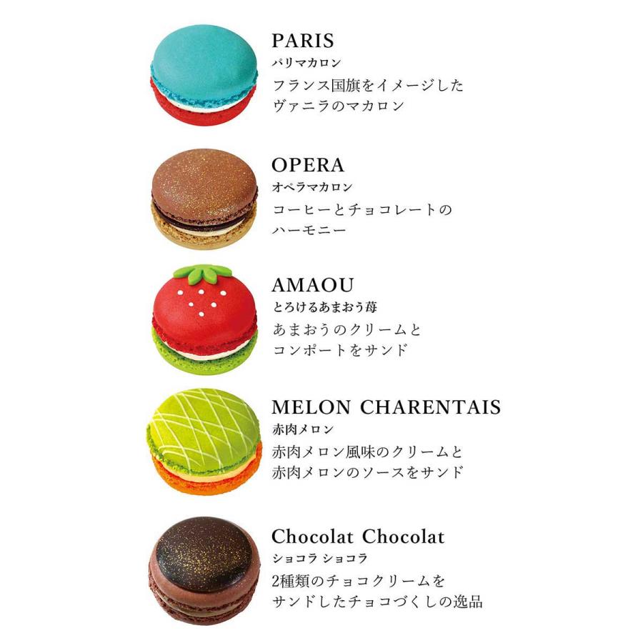 DALLOYAU（ダロワイヨ） 生マカロン詰め合わせ（5個入） 洋菓子