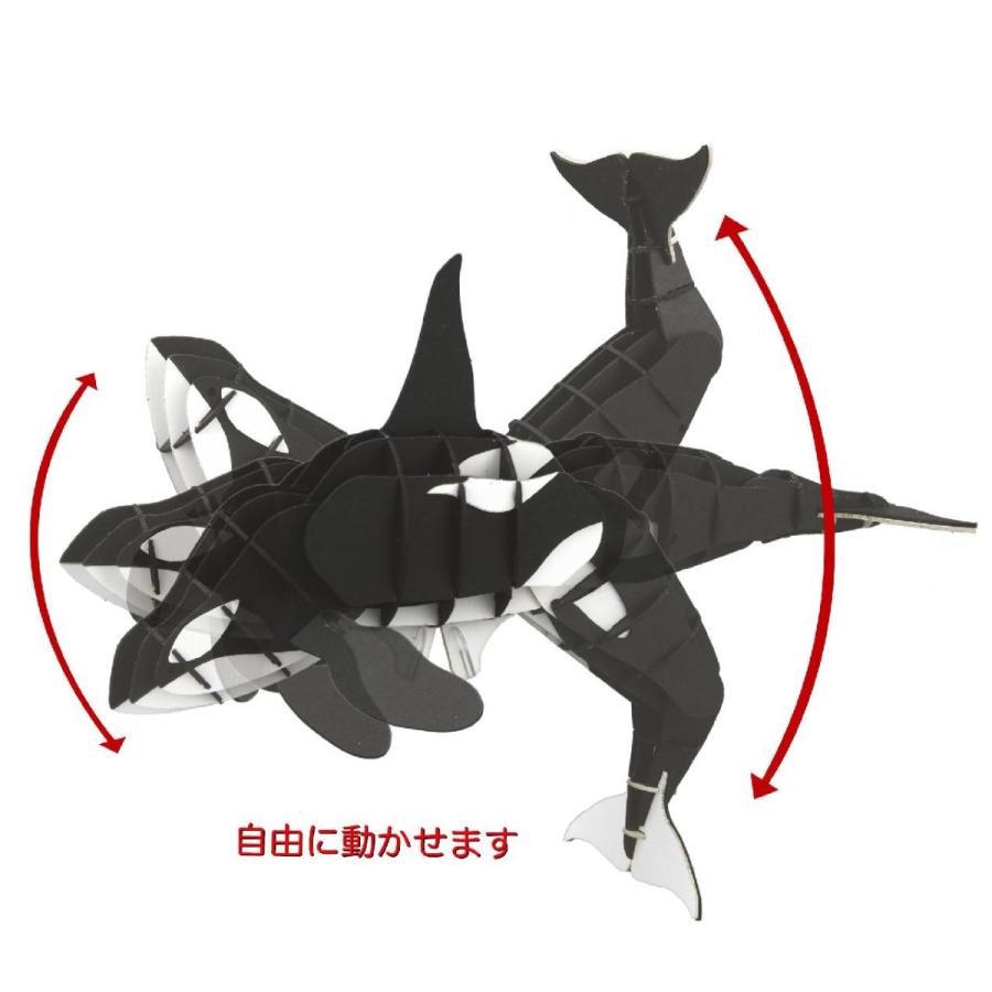ウラノ ３Dペーパーパズル　タランチュラ　黒 qqffhab ウラノ 3Dペーパーパズル タランチュラ 黒 qqffhab 【公式通販】