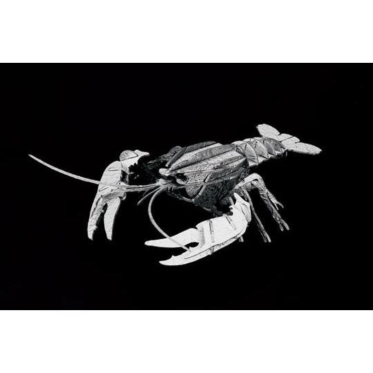 立体 ペーパークラフト ウラノ 3Dペーパーパズル アメリカザリガニ