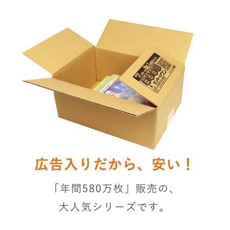 ダンボール 段ボール箱 枚セット 260 190 深さ110mm 広告入り60サイズ 豪華で新しい 広告入り60サイズ