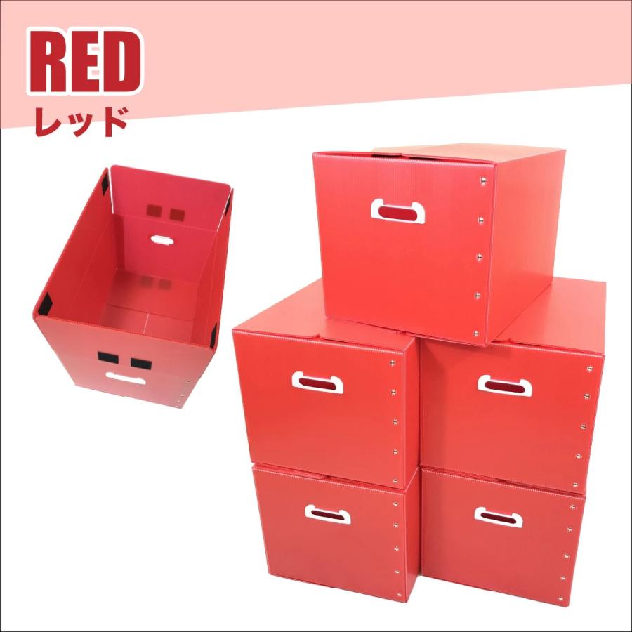 折りたたみ式プラダン製収納BOX 5枚セット（全5色) 53cm×38cm×33cm