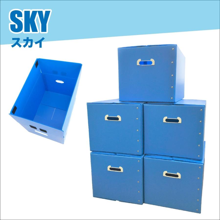 折りたたみ式プラダン製収納BOX 5枚セット（全5色) 53cm×38cm×33cm