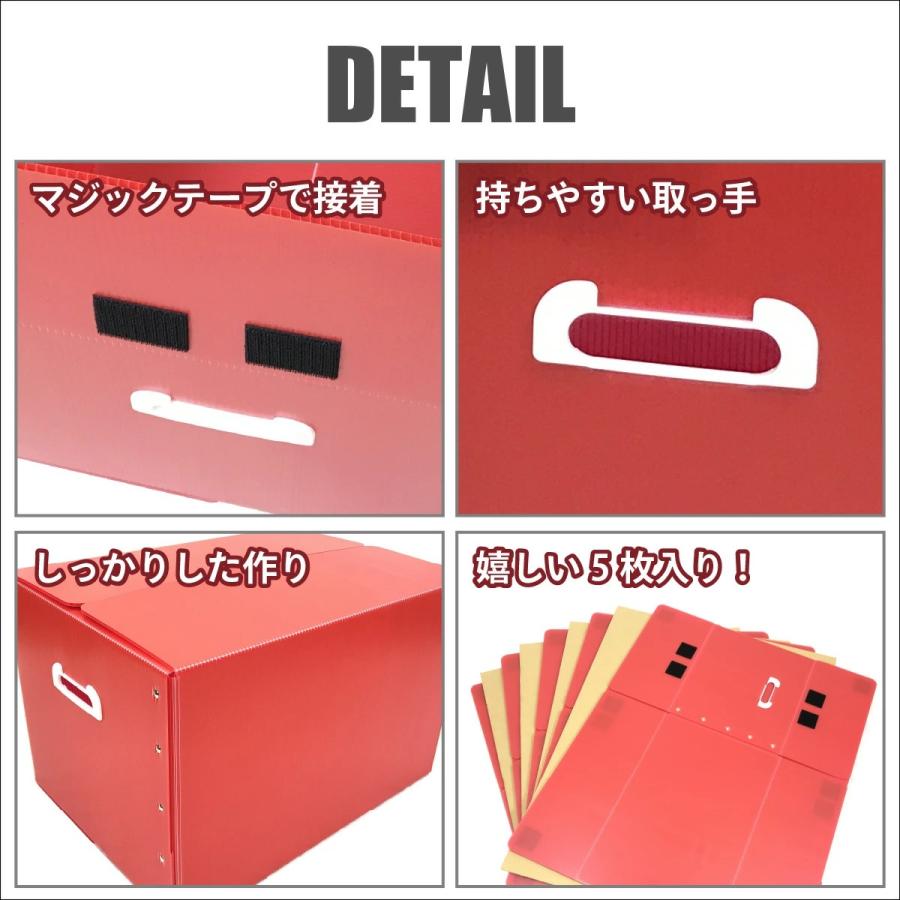 折りたたみ式プラダン製収納BOX 5枚セット（全5色) 53cm×38cm×33cm