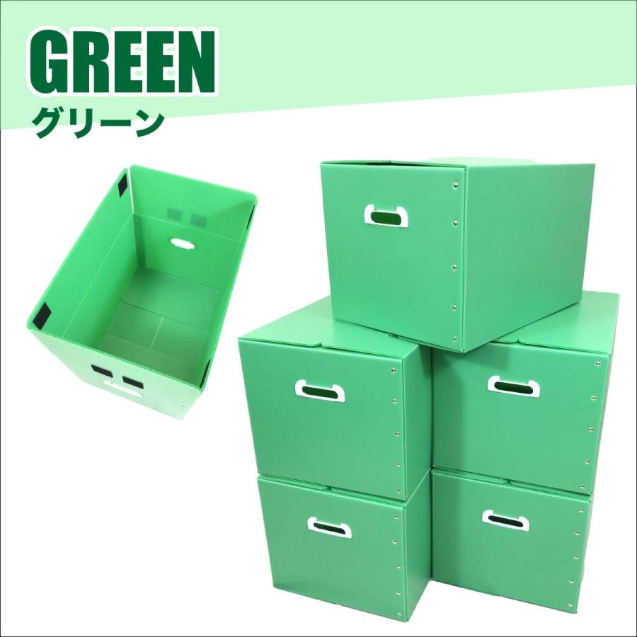 折りたたみ式プラダン製収納BOX 5枚セット（全5色) 53cm×38cm×33cm