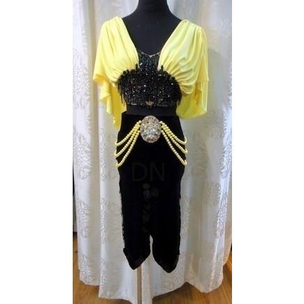 【最安値挑戦中】 社交ダンス用ラテンドレス　セミオーダー可能 【IQY2344466817】(82280円)