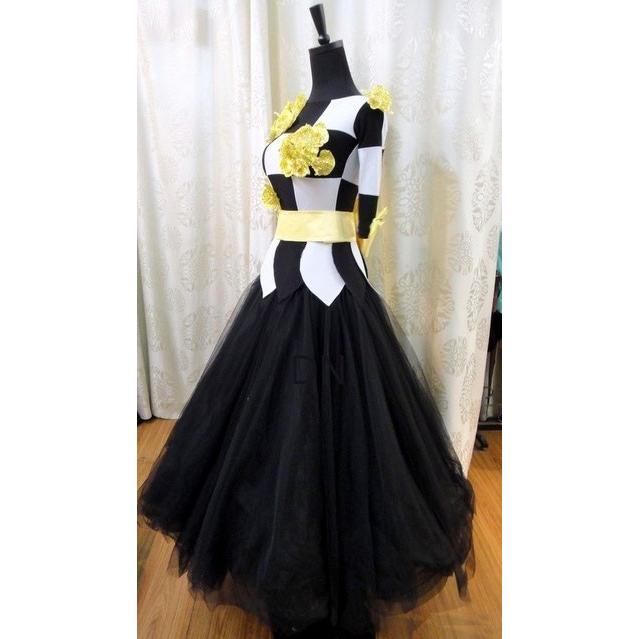 【売り切りお値下げ】 社交ダンス用スタンダードドレス　セミオーダー可能 【3034013746】(106480円)