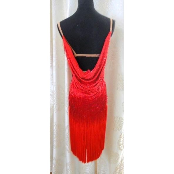 新春SALE！ 社交ダンス用ラテンドレス　セミオーダー可能 【DGJ3215800001】(112860円)