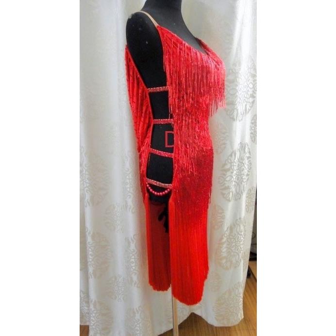 新春SALE！ 社交ダンス用ラテンドレス　セミオーダー可能 【DGJ3215800001】(112860円)