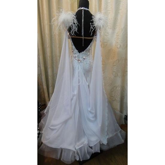 秋冬の主役◎ 社交ダンス用スタンダードドレス　セミオーダー可能 【AAA3171916686】(111320円)