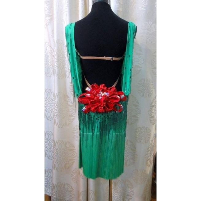 社交ダンス用ラテンドレス　セミオーダー可能