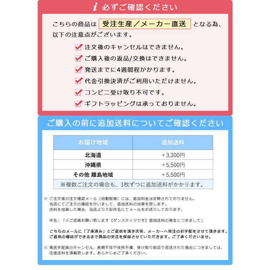 TIERRA UNO(ティエラウノ) ダンストレーニングボード  Lサイズ STEPB-L メーカー直送品 |  | 11