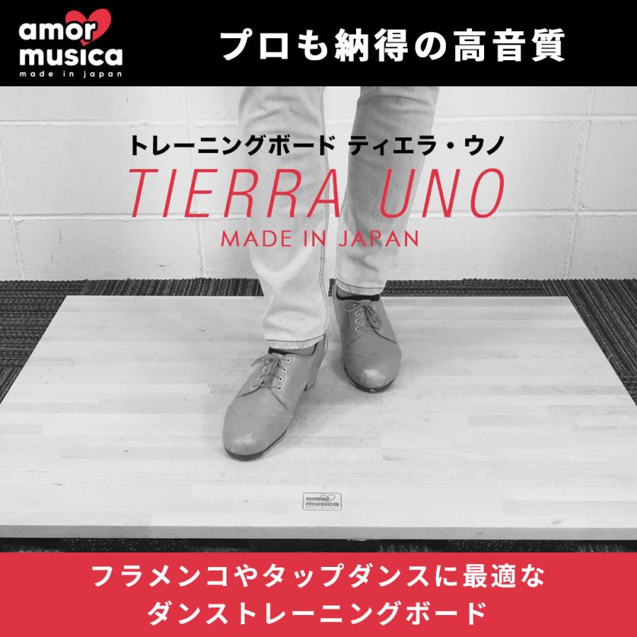 TIERRA UNO(ティエラウノ) ダンストレーニングボード  Lサイズ STEPB-L メーカー直送品 |  | 01